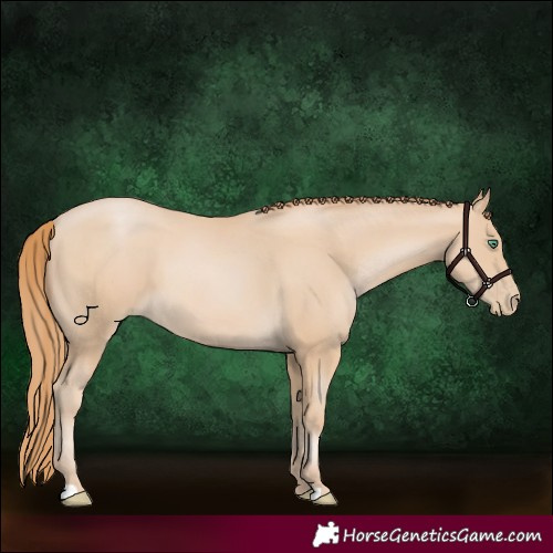 Horse Color:Smoky Black Pearl 