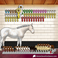 Horse Color:Silver Smoky Creme Tobiano Frame Blanket Rabicano 