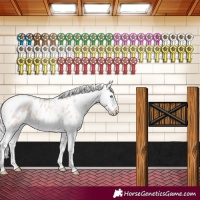 Horse Color:Silver Smoky Creme Tobiano Frame Appaloosa Rabicano