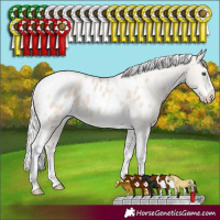 Horse Color:Silver Smoky Creme Tobiano Frame Appaloosa Rabicano