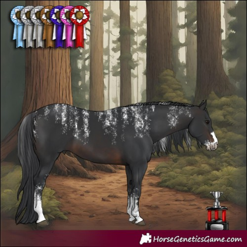 Horse Color:Powder White Brown 