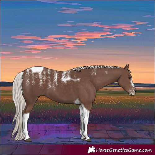Horse Color:Powder White Silver Black Tobiano 