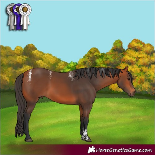 Horse Color:Powder White Bay 