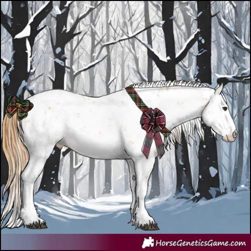 Horse Color:Chestnut Sabino