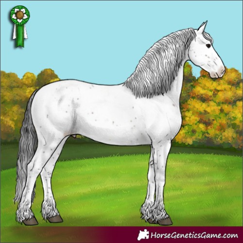 Horse Color:Brown Sabino Appaloosa 