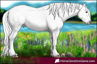 Horse Color:Gray Chestnut Mushroom Tobiano Frame Appaloosa 