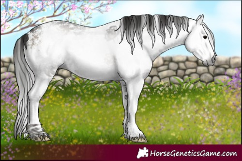 Horse Color:Gray White Spotted Bay Ice Onyx
