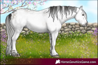 Horse Color:Gray White Spotted Bay Ice Onyx