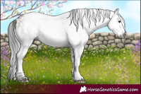 Horse Color:Gray White Spotted Bay Ice Onyx 