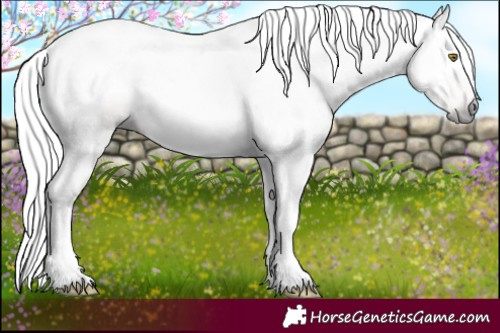 Horse Color:Gray White Spotted Silver Brown Pearl Tobiano 