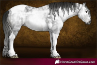 Horse Color:Gray Black Ice Tobiano Rabicano