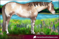 Horse Color:White Spotted Liver Red Onyx Pearl 
