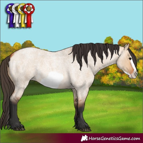 Horse Color:Bay Roan Dun Frame 