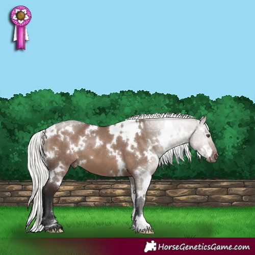 Horse Color:White Spotted Liver Red Dun Mushroom 