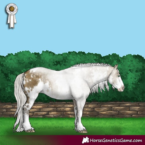 Horse Color:White Spotted Silver Buckskin Dun Mushroom Sabino 