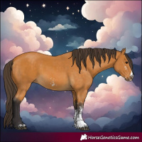 Horse Color:Buckskin Sabino Rabicano and Buckskin Sabino