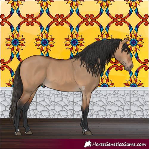 Horse Color:Bay Dun 