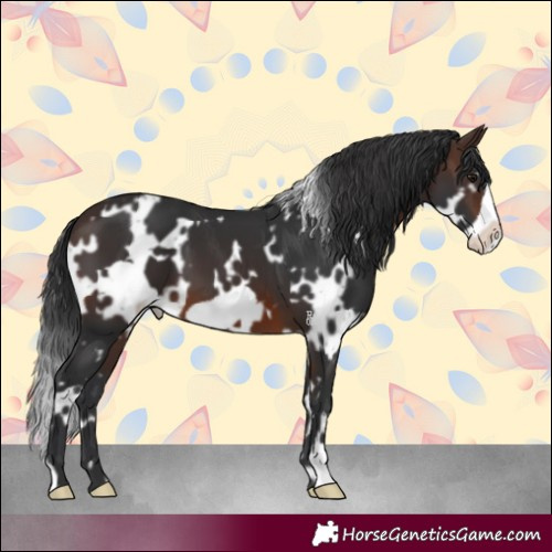Horse Color:White Spotted Brown Frame 
