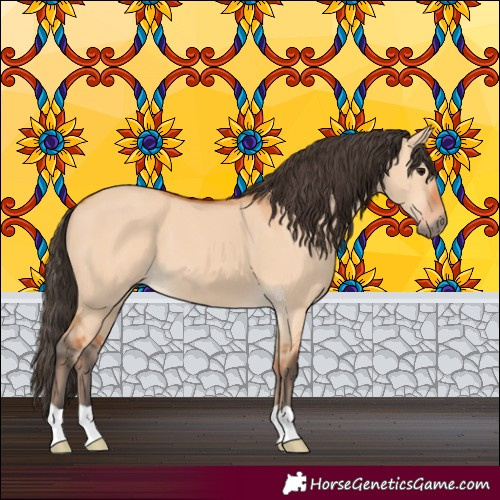 Horse Color:Bay Dun 