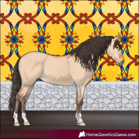 Horse Color:Bay Dun 