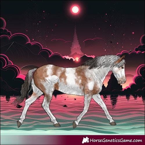 Horse Color:White Spotted Bay Frame Rabicano 