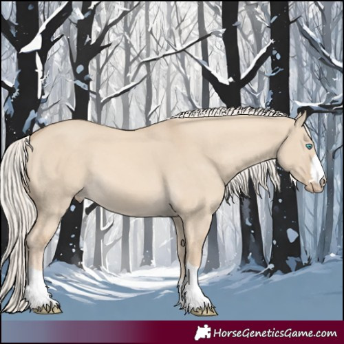 Horse Color:Cremello Dun 