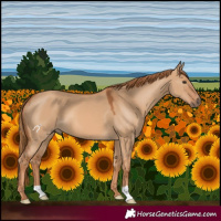 Horse Color:Red Dun 