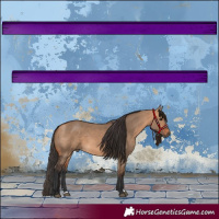 Horse Color:Bay Dun
