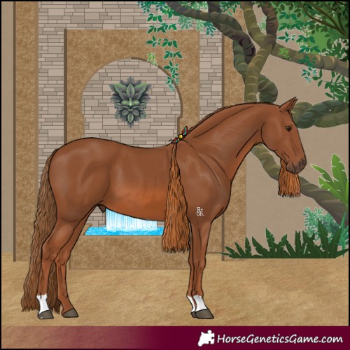 Horse Color:Chestnut 