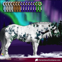 Horse Color:ERROR: UNKNOWN ANOMALY