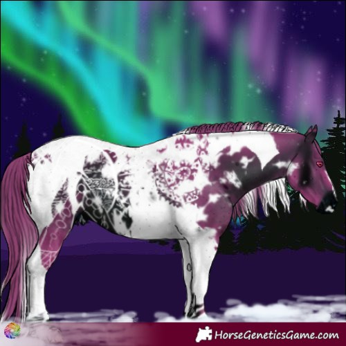 Horse Color:ERROR: UNKNOWN ANOMALY