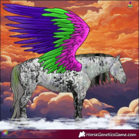 Horse Color:ERROR: UNKNOWN ANOMALY and ERROR: UNKNOWN ANOMALY