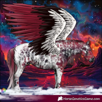 Horse Color:ERROR: UNKNOWN ANOMALY and ERROR: UNKNOWN ANOMALY