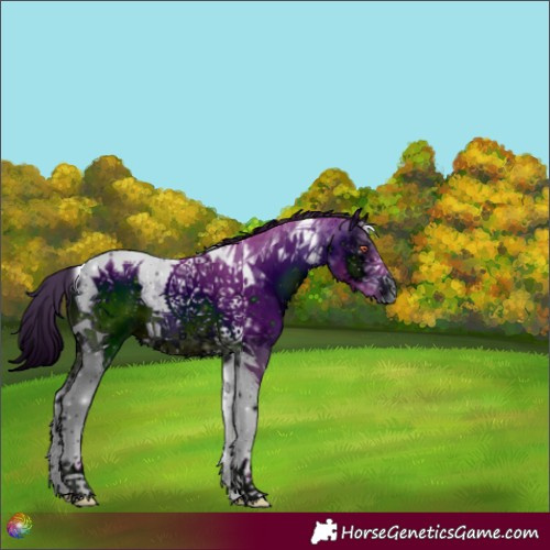 Horse Color:ERROR: UNKNOWN ANOMALY