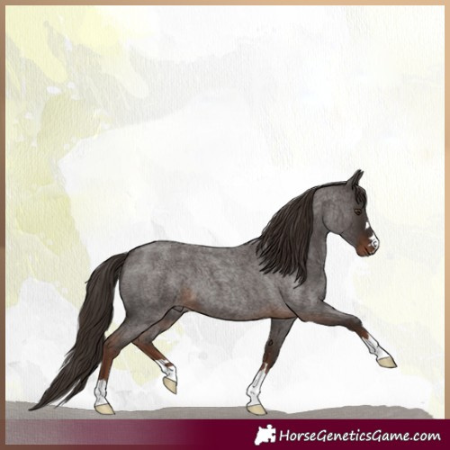 Horse Color:Liver Red Roan 