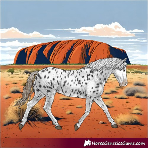 Horse Color:Smoky Black Near Leopard 