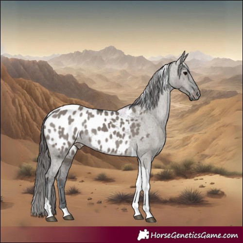 Horse Color:Grullo Tobiano Blanket 
