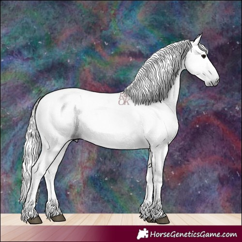 Horse Color:Gray Black 