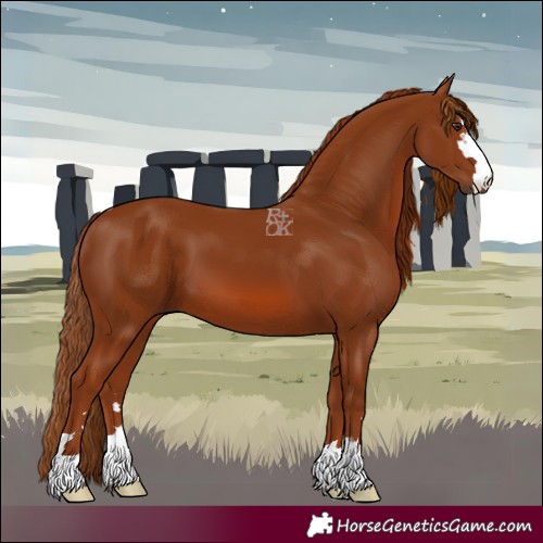 Horse Color:Chestnut 