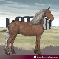 Horse Color:Silver Black