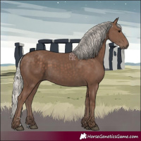 Horse Color:Silver Black 