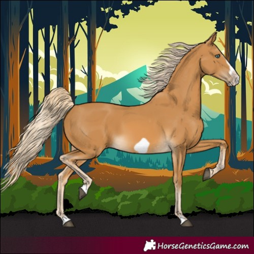 Horse Color:Palomino Frame 