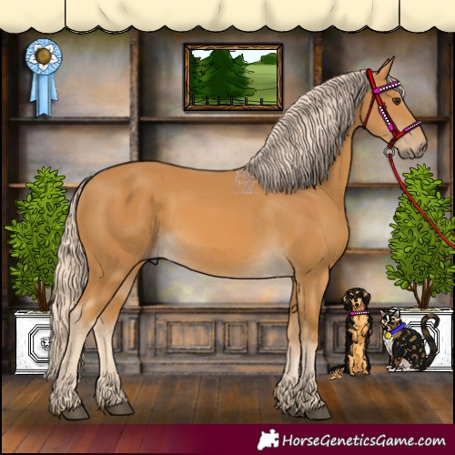 Horse Color:Palomino 