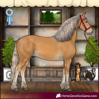 Horse Color:Palomino 