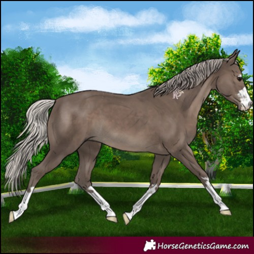 Horse Color:Silver Black 