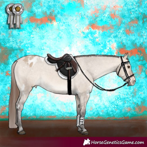 Horse Color:White Spotted Bay Dun Sabino Appaloosa 