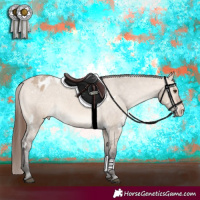 Horse Color:White Spotted Bay Dun Sabino Appaloosa