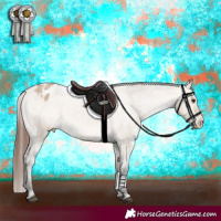 Horse Color:White Spotted Bay Dun Sabino Appaloosa 