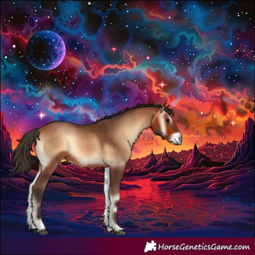 Horse Color:Bay Onyx 