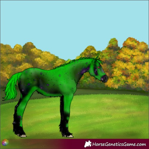 Horse Color:ERROR: UNKNOWN ANOMALY